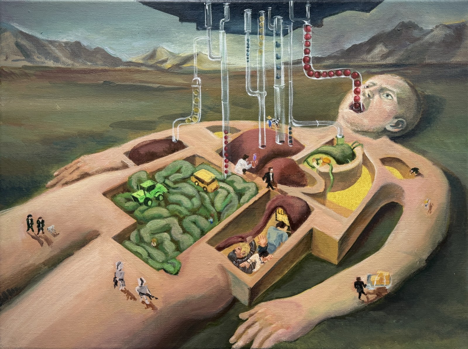 Vital Organs